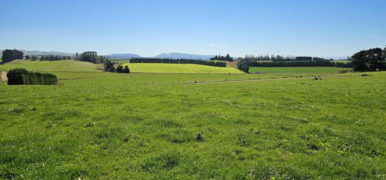 465 Adam Fleming Road Crossans Corner_21