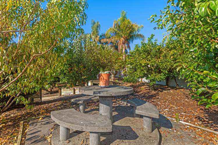 39 Ayton Street Mangapapa_33