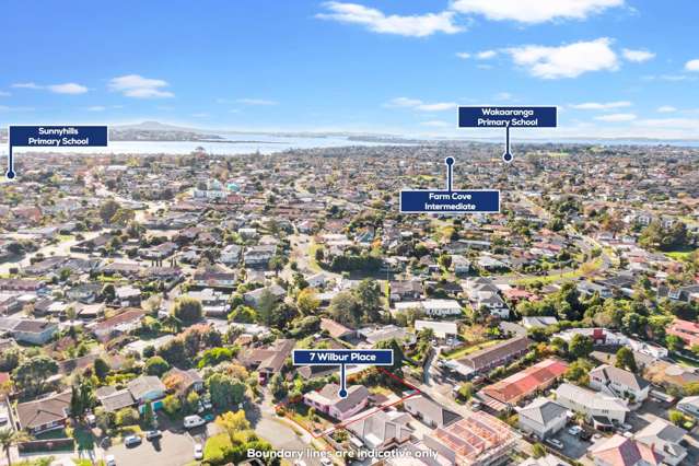 7 Wilbur Place Pakuranga Heights_1