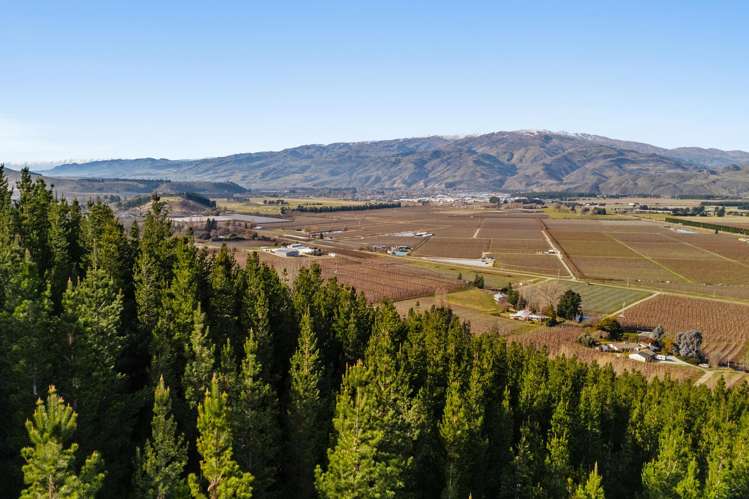 Lot 1 & 5 Ripponvale Road_3