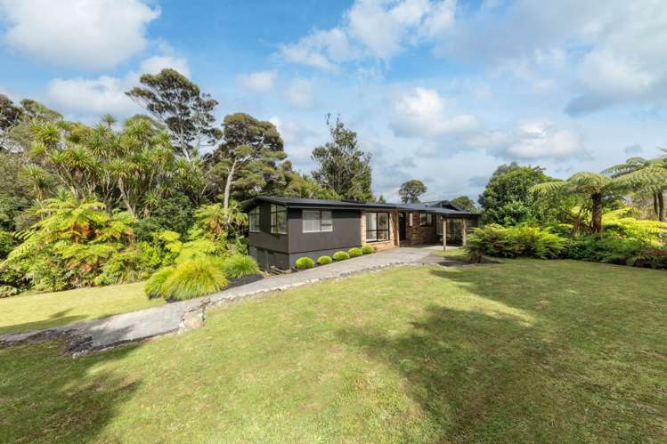 256 Piha Road Piha_15
