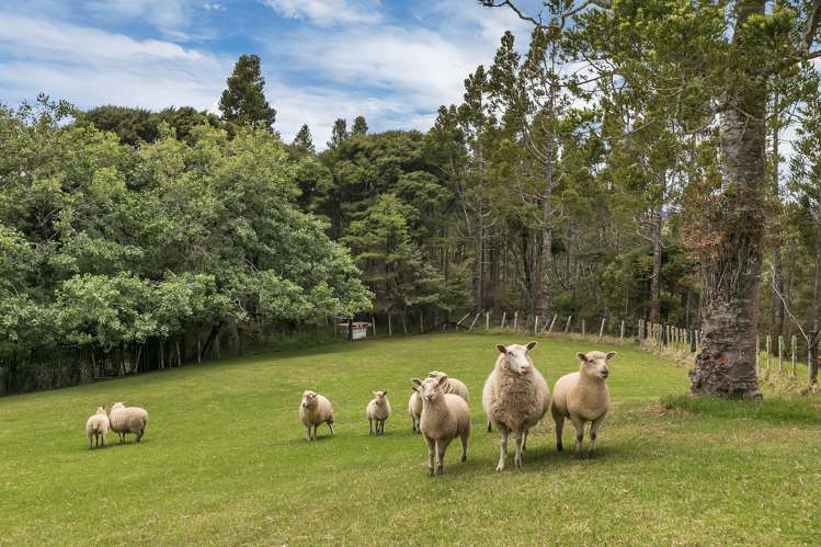 142 Wade River Road Wade Heads_12