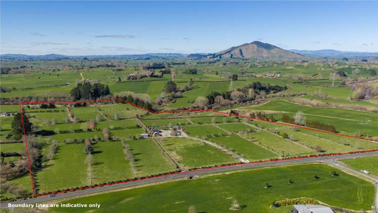 101 Ormsby Road Pirongia_1