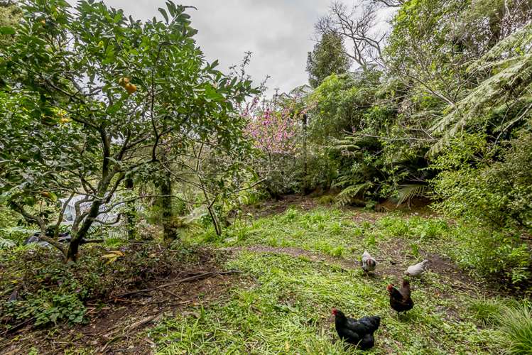 17 Laingholm Drive Laingholm_13