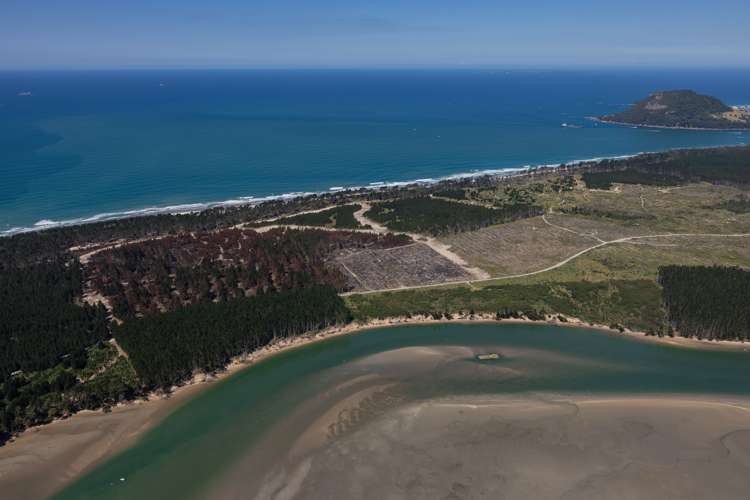 205 Matakana Island, 148 HA Matakana Island_8