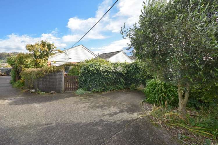 84b Hargest Crescent Saint Clair_15