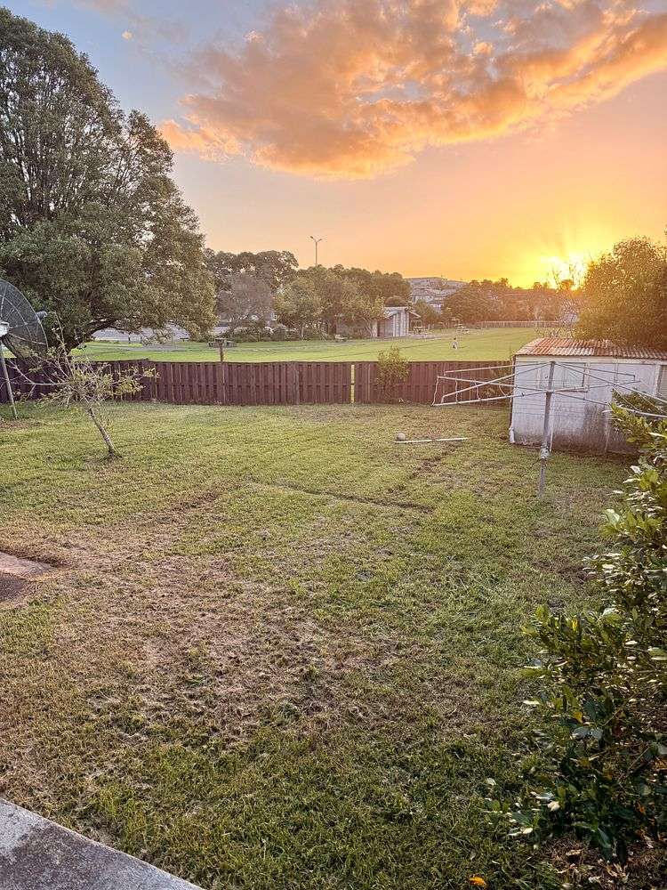 53 Fearon Avenue Mount Roskill_4