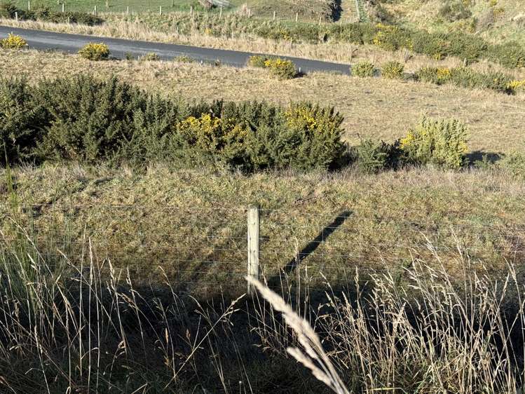 9 Cypress Lane Balclutha_7