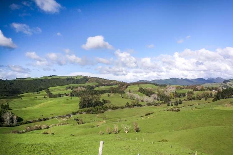 2511 Kopu Hikuai Sh25a Road Hikuai_8