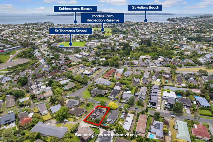 9 Ashwell Street Saint Heliers_23