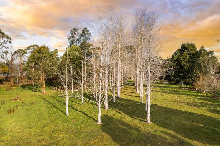 1830 Waikouaiti-Waitati Road Waitati_12