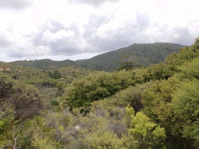 117 Aotea Road Great Barrier Island (Aotea Island)_3