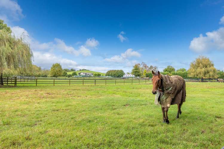 356 Mystery Creek Road Ohaupo_40