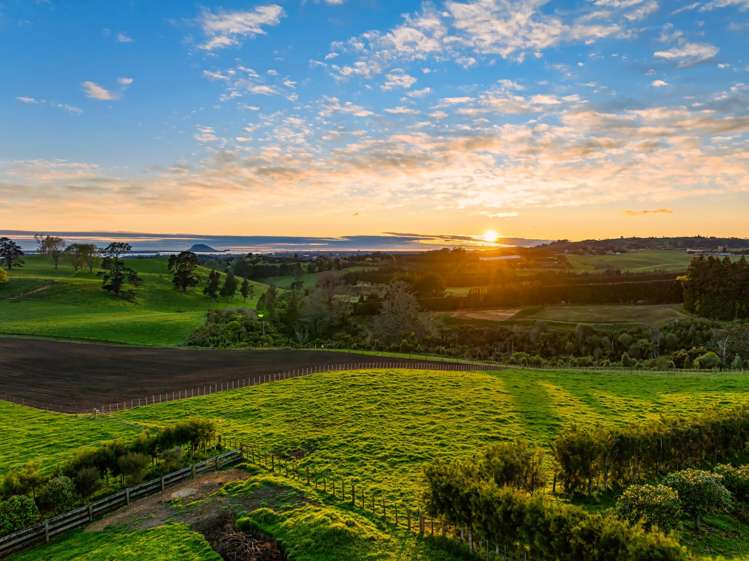 Lot Lot 1 Ross Road Whakamarama_11