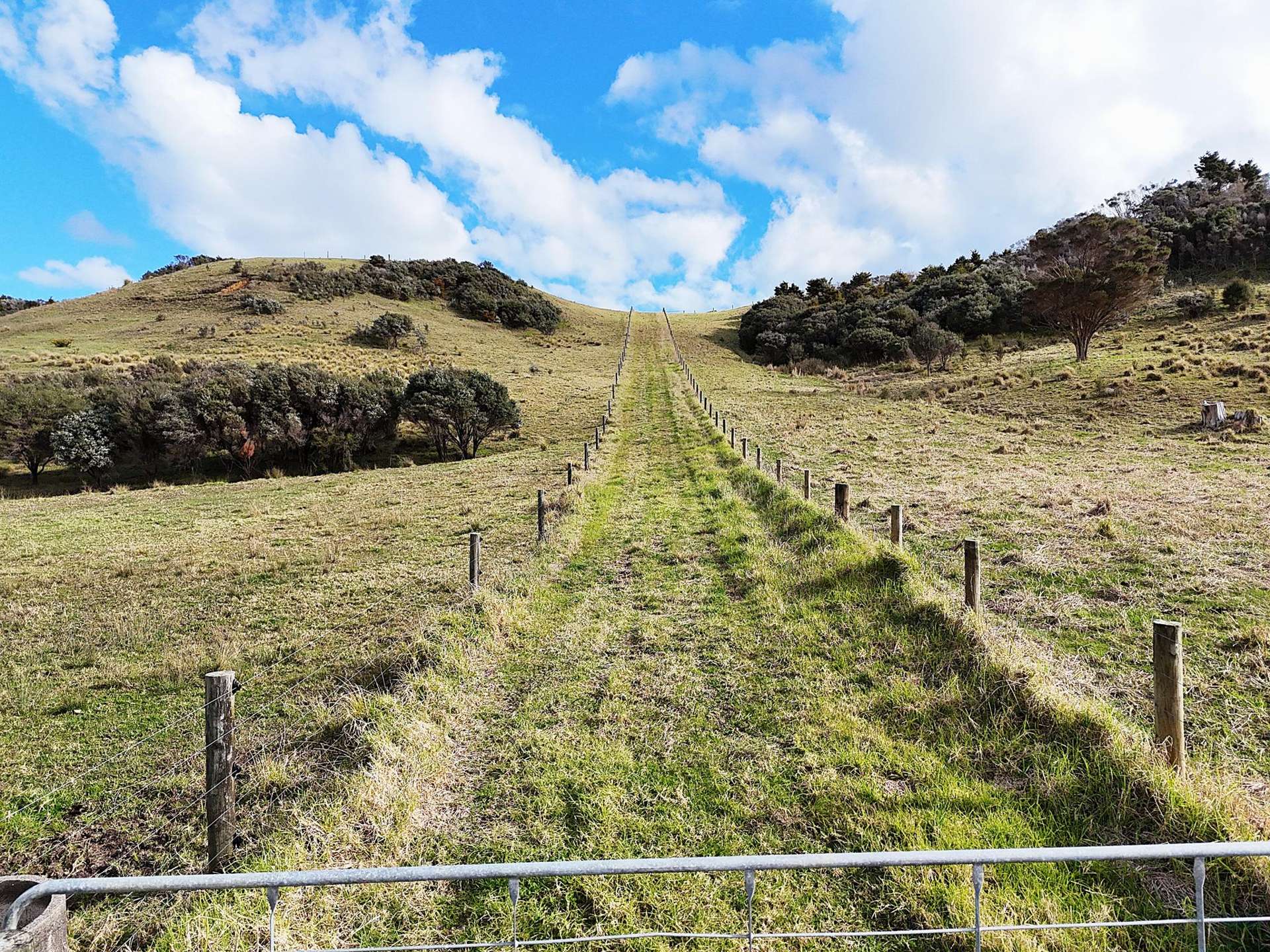 Lot 1 State Highway 12 Dargaville_0