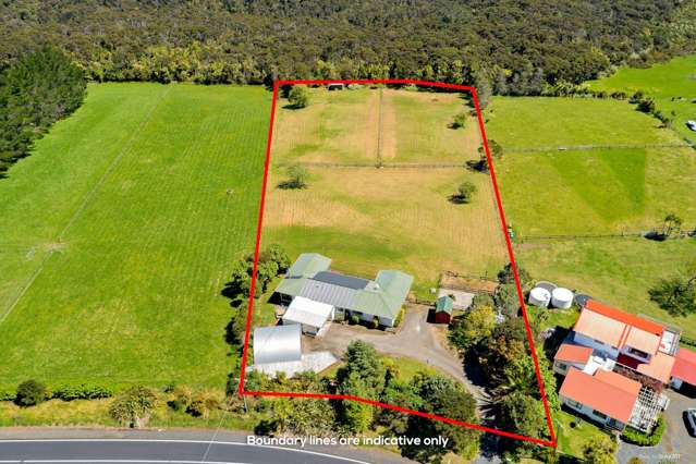 270 Wishart Road Helensville_3