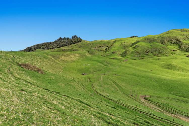 950 Braemar Road Rotoma_23