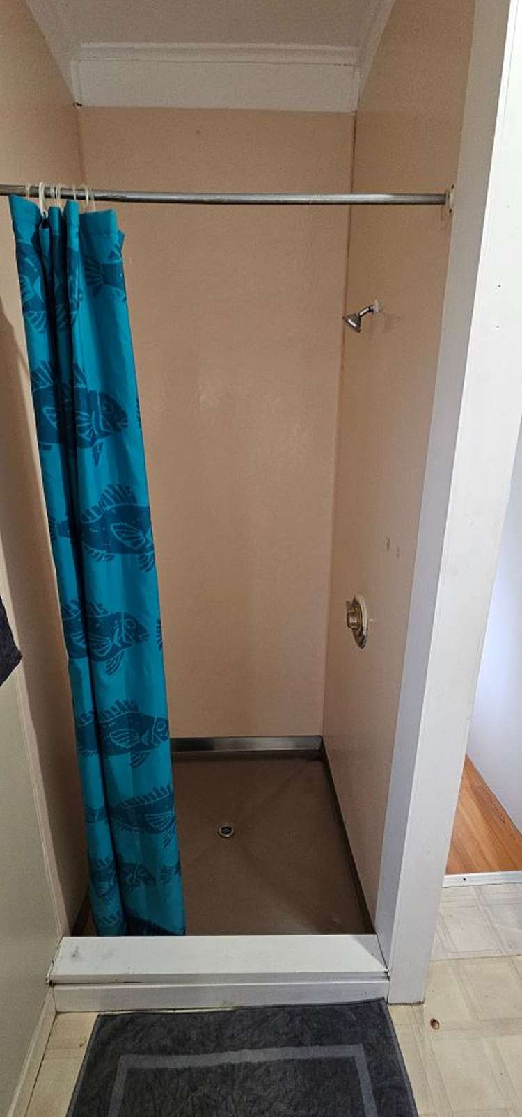 22 Lochmaben Road Tokoroa_4