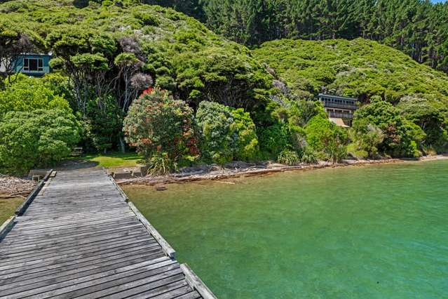 Burneys Beach Arapaoa Island_3