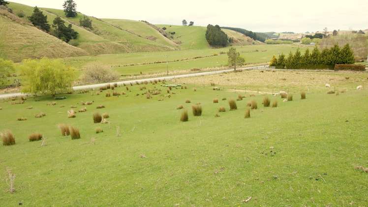 Waitahuna Gully Road Lawrence_5