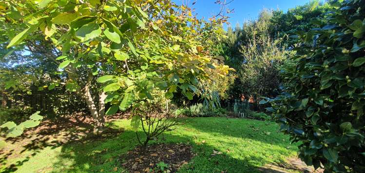 38 Lyon Street Featherston_11