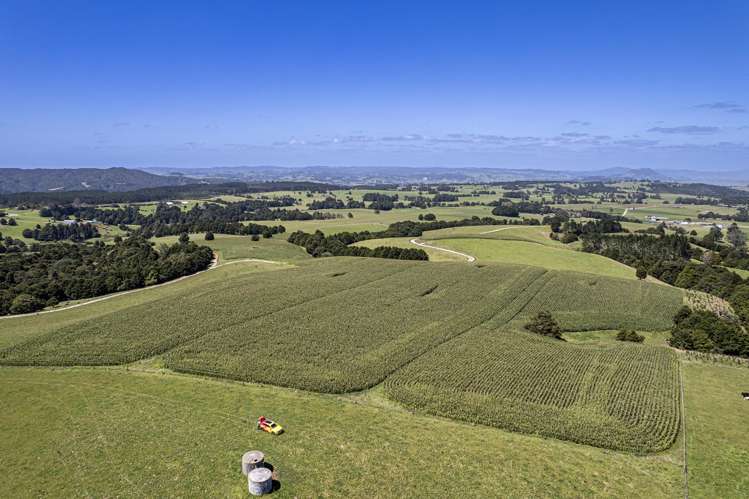 731 Puhipuhi Road Whakapara_6