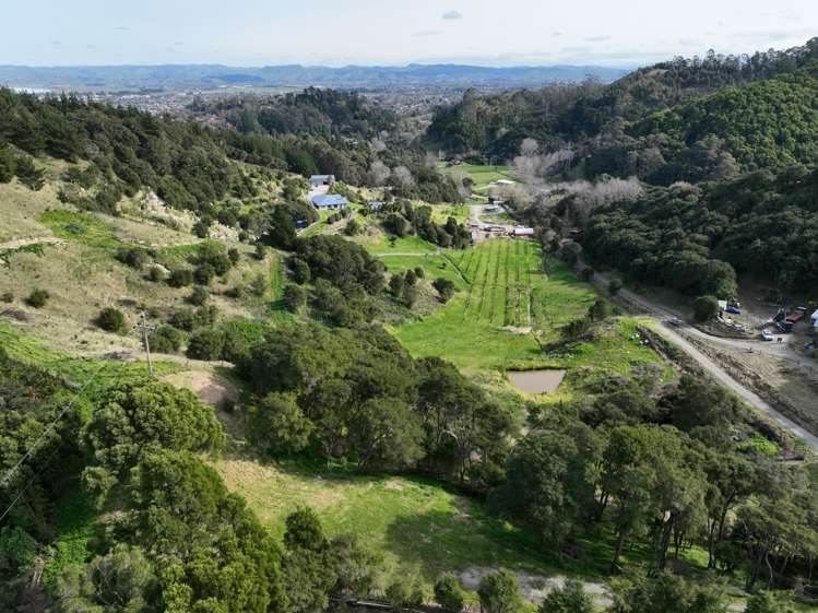 58a Dryden Street Whataupoko_0