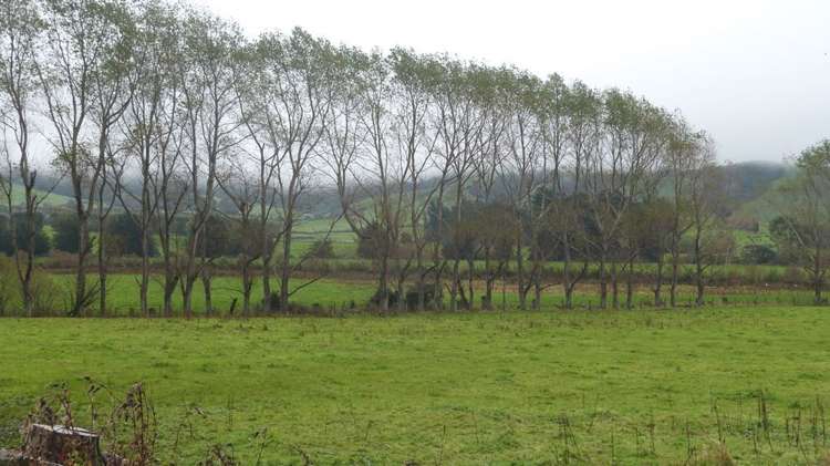 44 Rodgers Road Catlins Surrounds_35