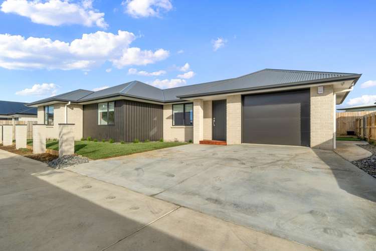 65b Whitmore Street Kihikihi_12