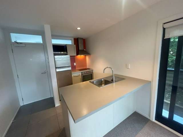 114/424 Maunganui Road 11229_1
