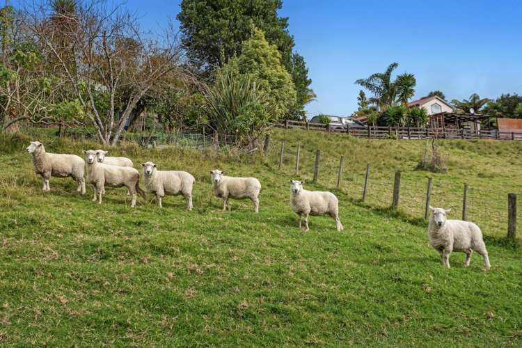 281 McCarthy Road Opotiki_4