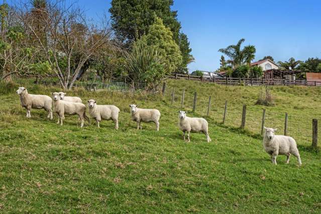 281 McCarthy Road Opotiki_4