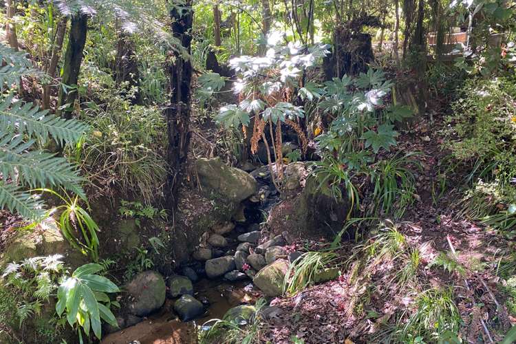 2 Otuturu Creek Road Thames_19