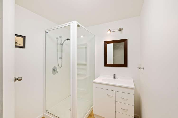 11 Michael Avenue Mount Pleasant_26