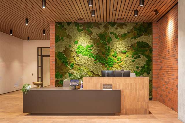 30 Daldy Street Auckland Central_2