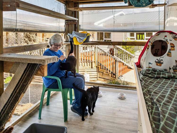 29 Walker Road West Katikati_30