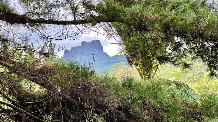 694 The 309 Road, Waiau Coromandel_12