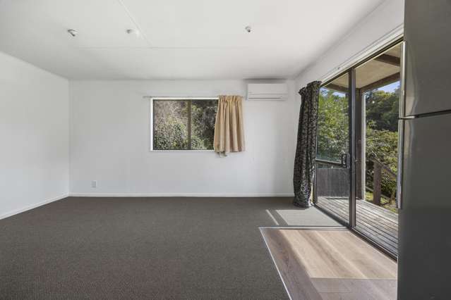 15 Sutherland Street Dunedin Central_3