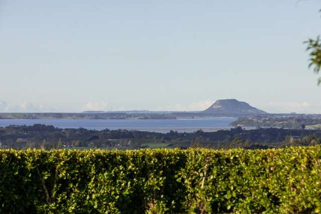 329B Thompsons Track Katikati_4