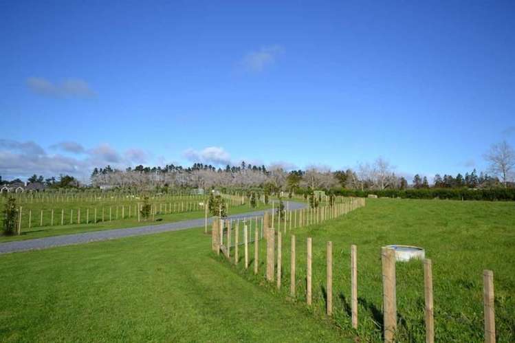 234 Ness Road Kerikeri Surrounds_19