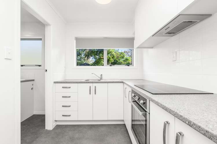 16 O'Neill Street Claudelands_14