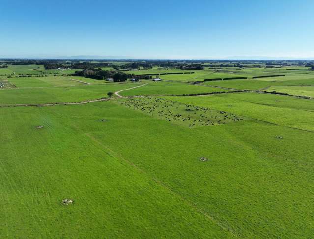 12 Shand Road, Farm 1 Rimu_4