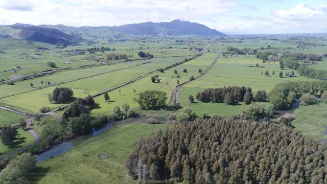 5885 State Highway 26 Te Aroha_3