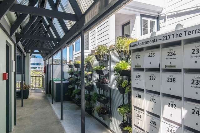  250/217 The Terrace Wellington Central_4