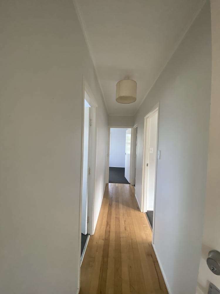 443 Don Buck Road Massey_10