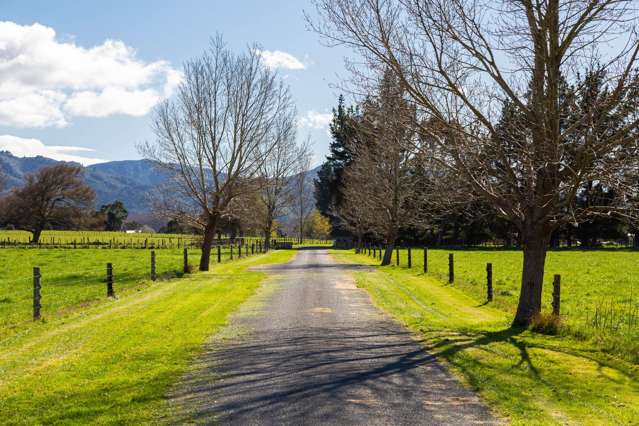 Lot 3/277 Woodside Road Greytown_1