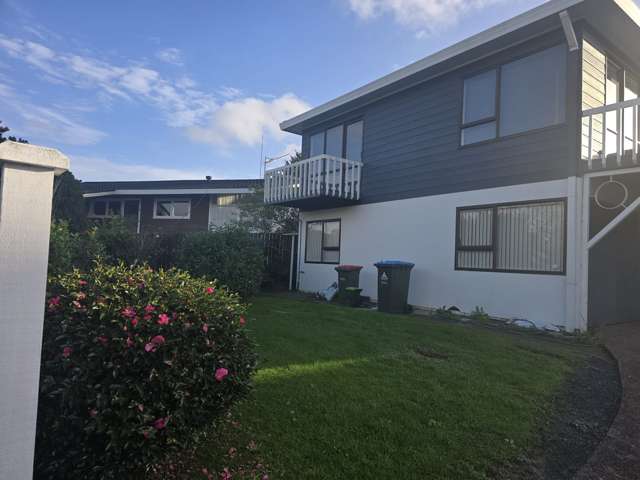3 Griffen Park Road Mount Roskill_1