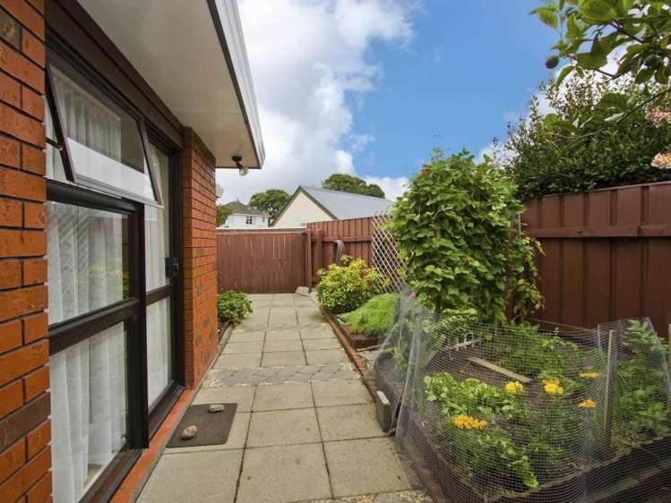 3a Scanlan Street Avalon_16