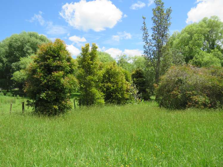 605 Whakapirau Road Whakapirau_17