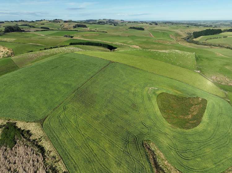 189 Leonard Road Wyndham Surrounds_9